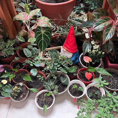 דירות איקיטוס Casa Micaela מראה חיצוני תמונה