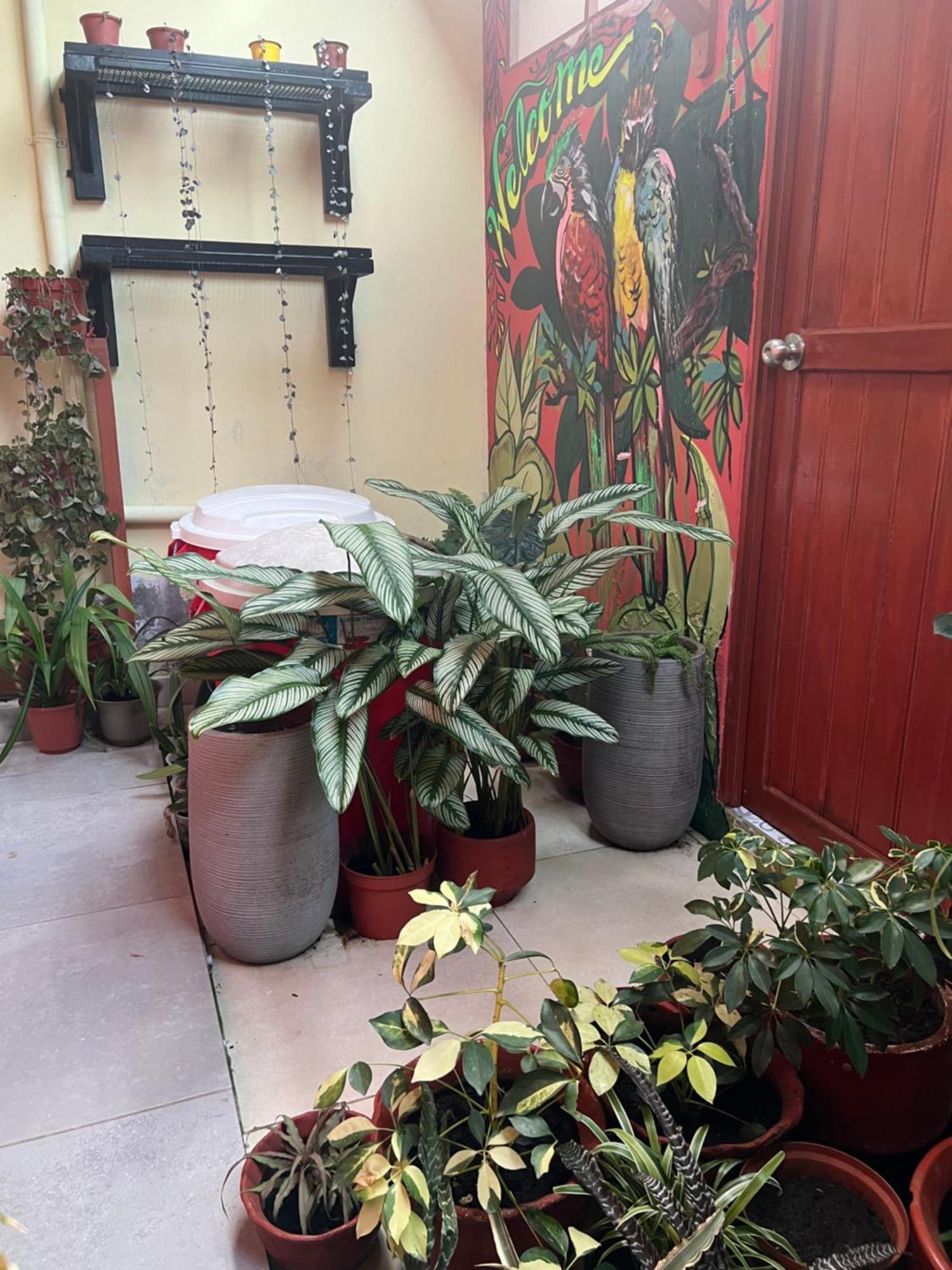 דירות איקיטוס Casa Micaela מראה חיצוני תמונה
