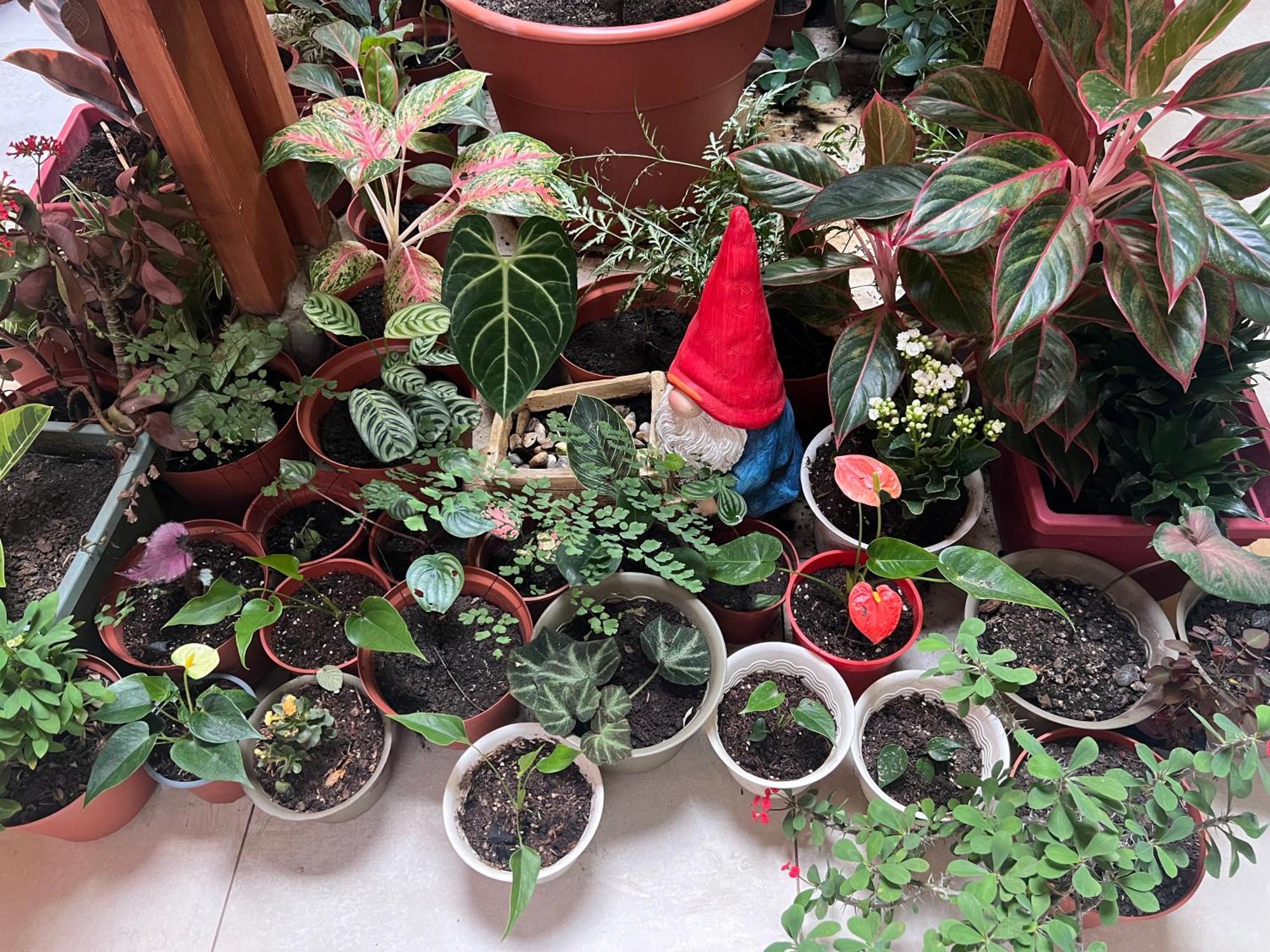 דירות איקיטוס Casa Micaela מראה חיצוני תמונה